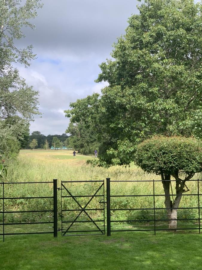 Rose Cottage Rowland's Castle Buitenkant foto